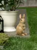 CURIOUSLY CUTE BUNNY GARDEN FIGURINE
