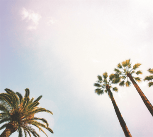 TAP -- Wall Covering Fabric (Option: TAP010-150x170cm)